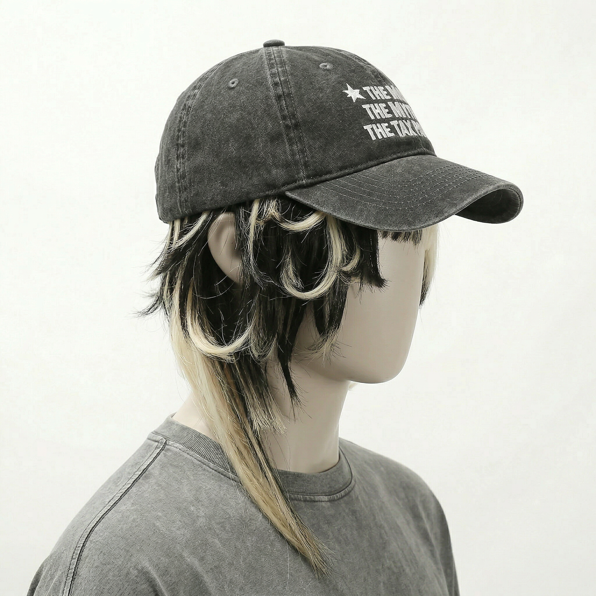 THE MAN. THE MYTH. THE TAX PAYER.