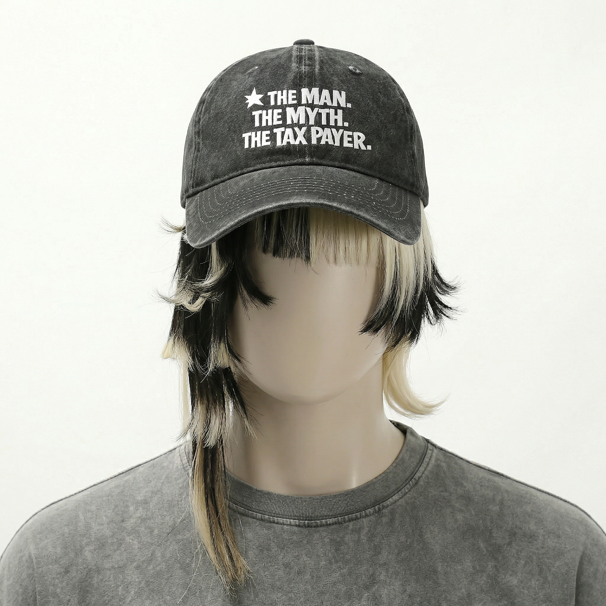 THE MAN. THE MYTH. THE TAX PAYER.